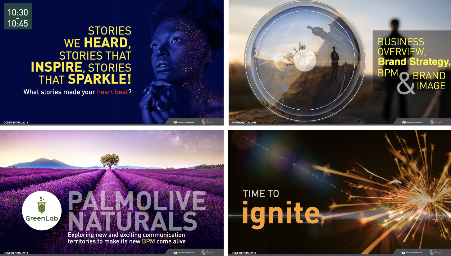 Greenlab presentation