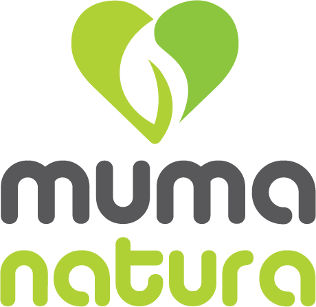 Logo & stationary. Eco friendly products.